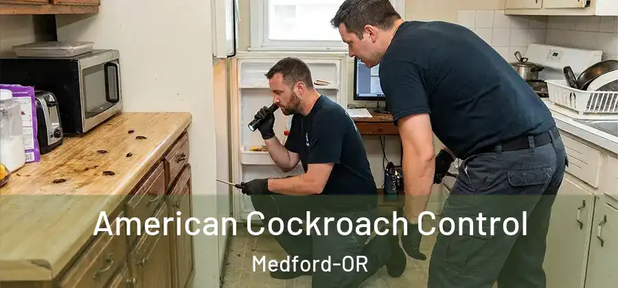 American Cockroach Control Medford-OR