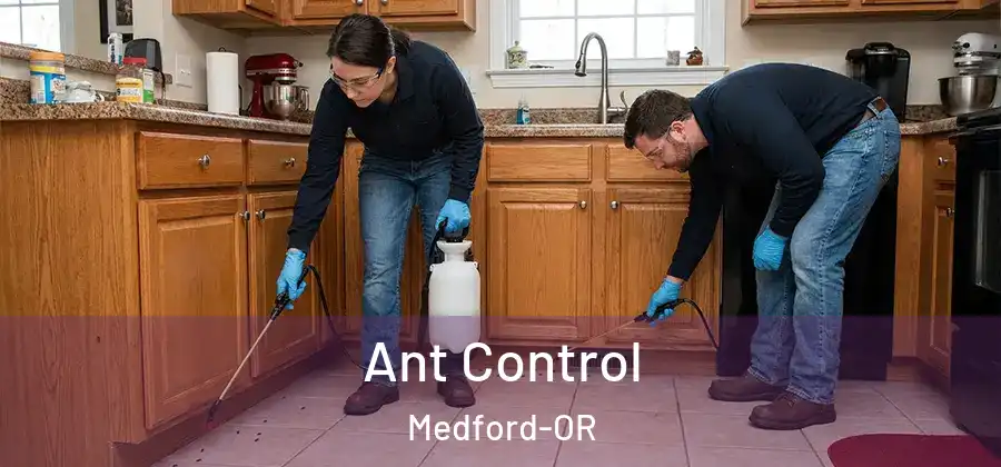 Ant Control Medford-OR