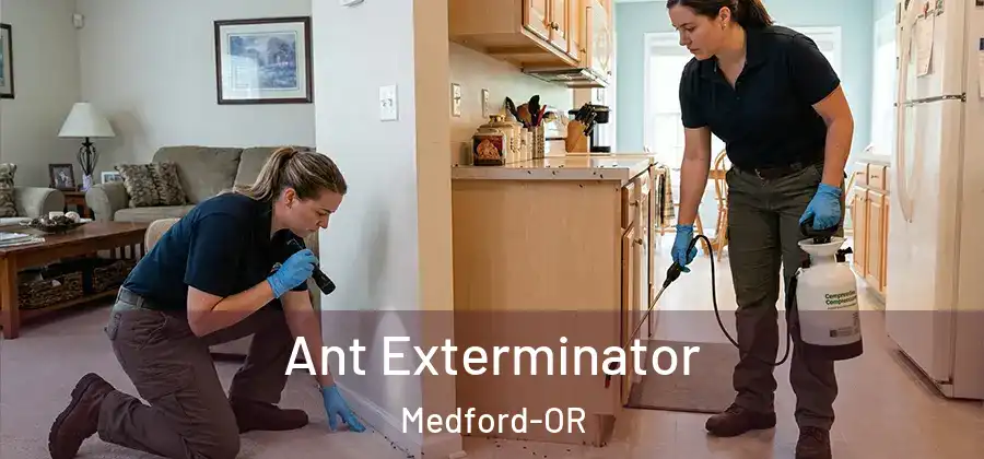 Ant Exterminator Medford-OR