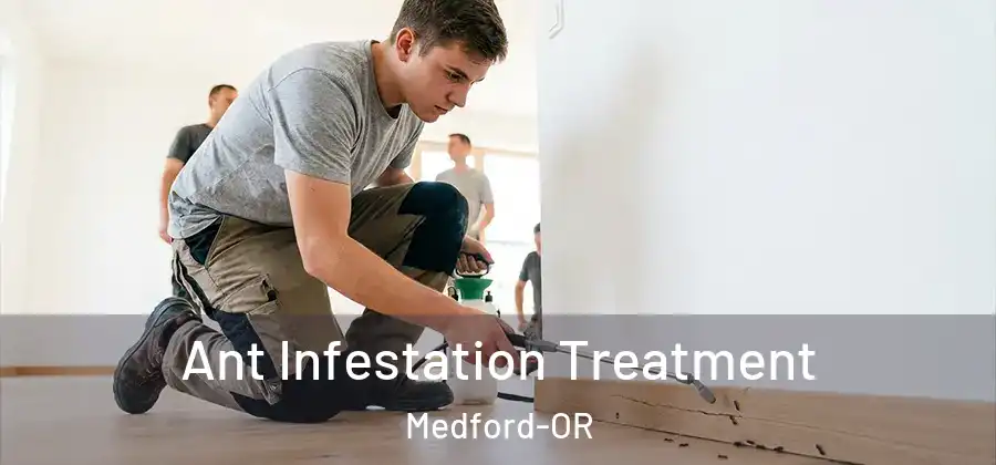 Ant Infestation Treatment Medford-OR