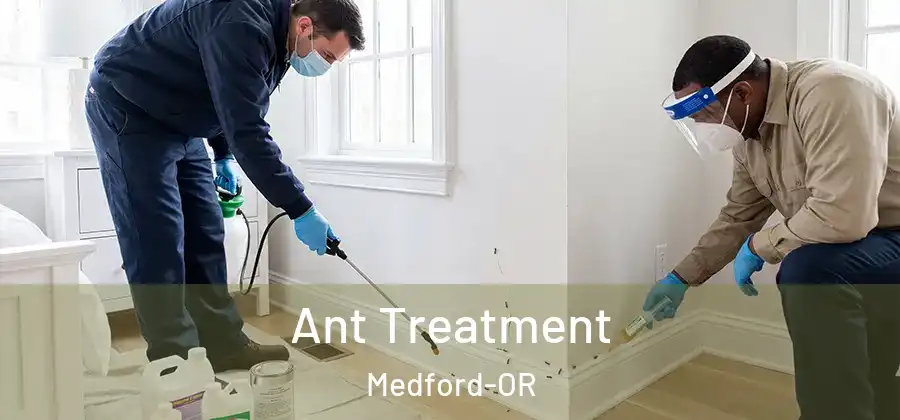 Ant Treatment Medford-OR