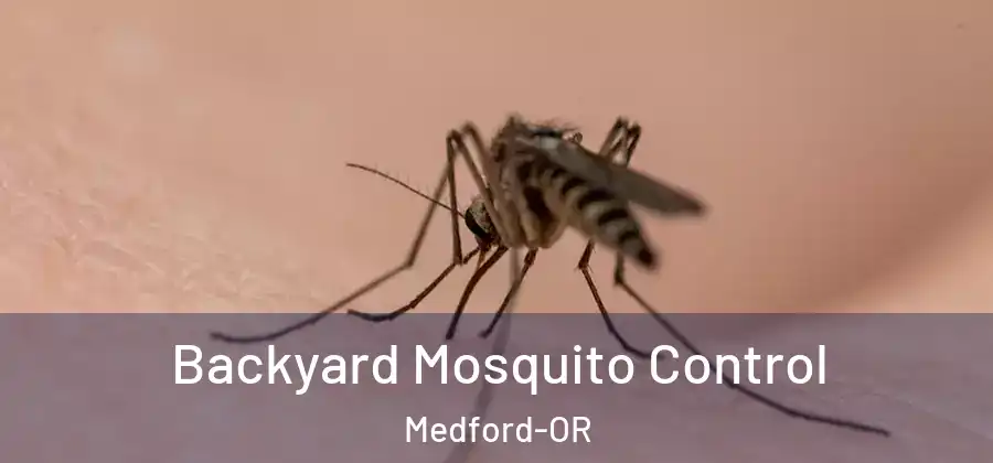 Backyard Mosquito Control Medford-OR