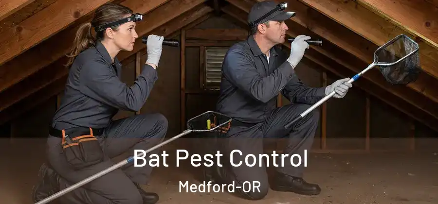 Bat Pest Control Medford-OR