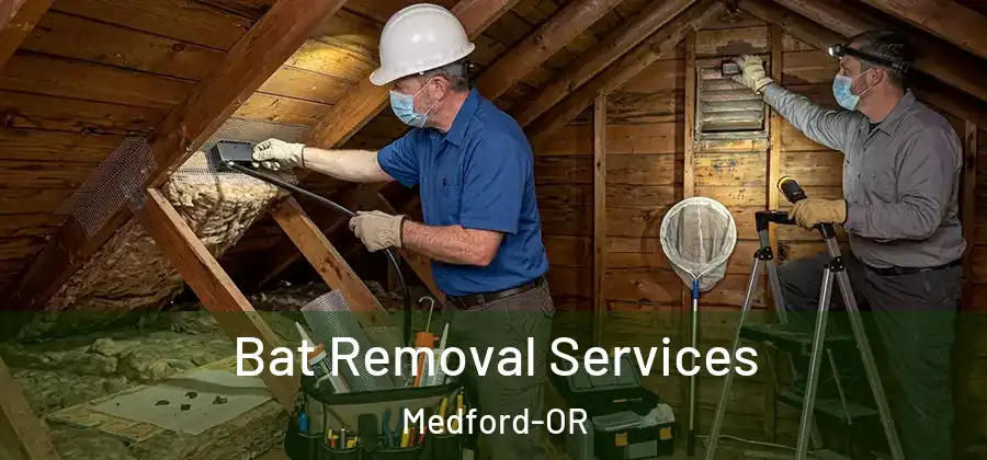 Bat Removal Services Medford-OR