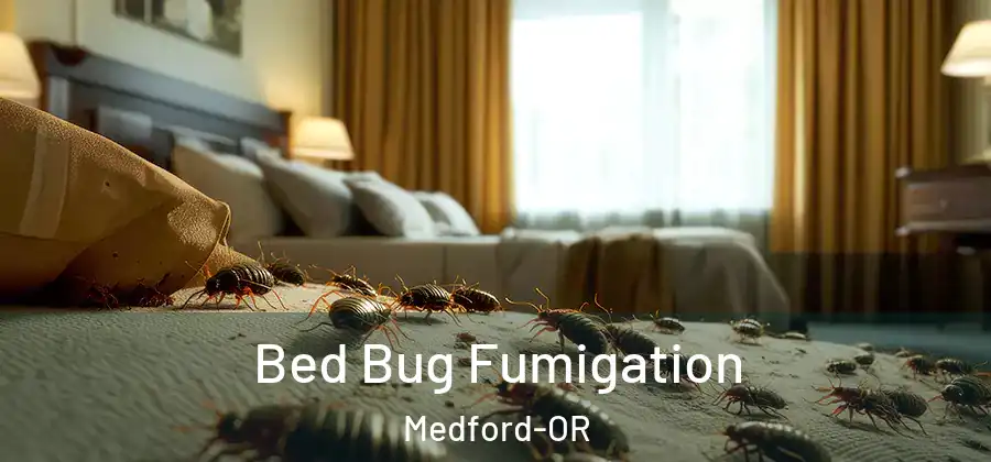 Bed Bug Fumigation Medford-OR