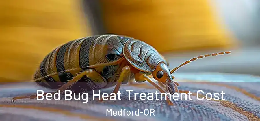 Bed Bug Heat Treatment Cost Medford-OR