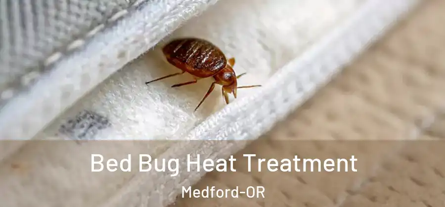 Bed Bug Heat Treatment Medford-OR