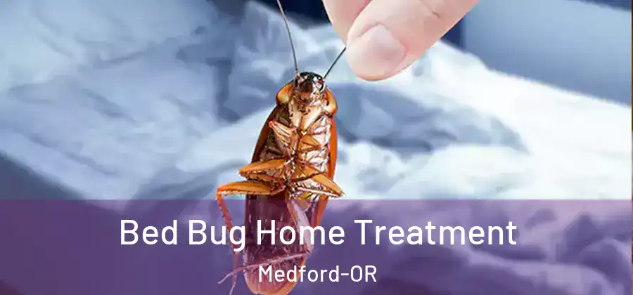 Bed Bug Home Treatment Medford-OR