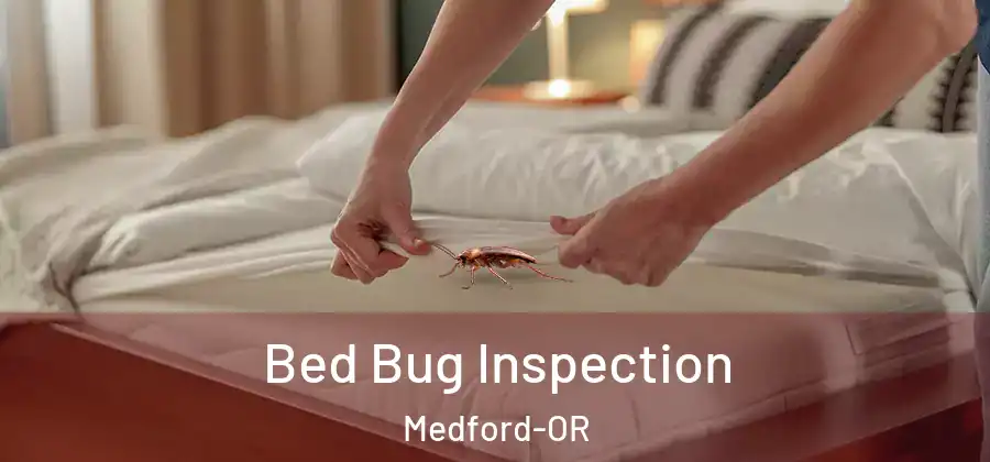 Bed Bug Inspection Medford-OR