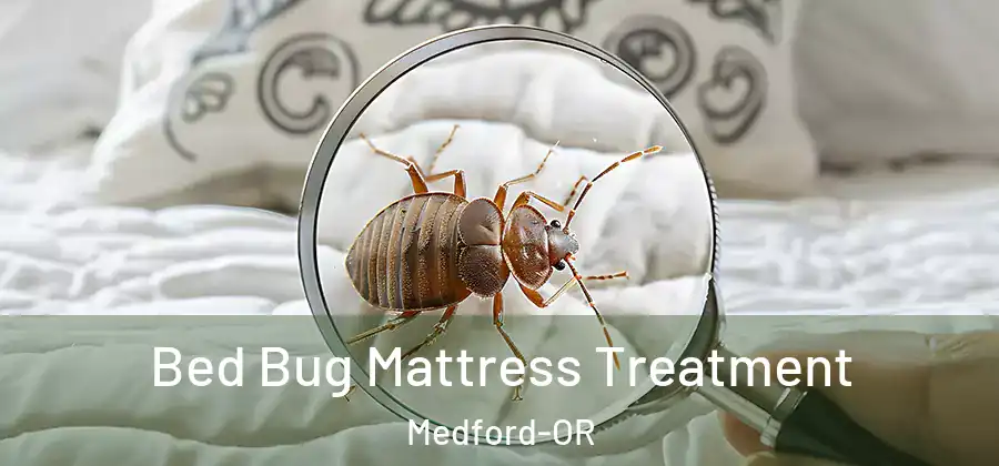 Bed Bug Mattress Treatment Medford-OR