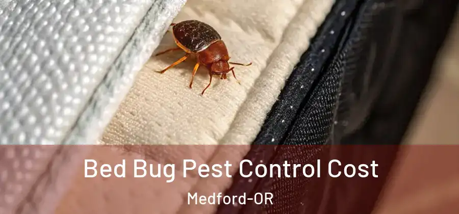 Bed Bug Pest Control Cost Medford-OR