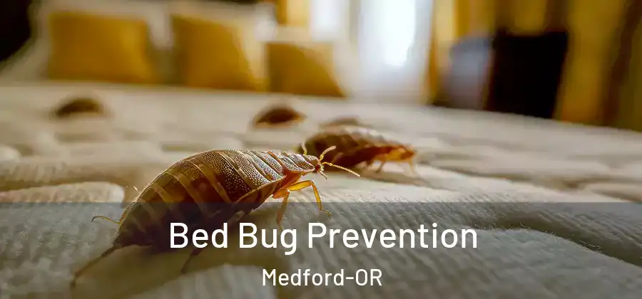 Bed Bug Prevention Medford-OR