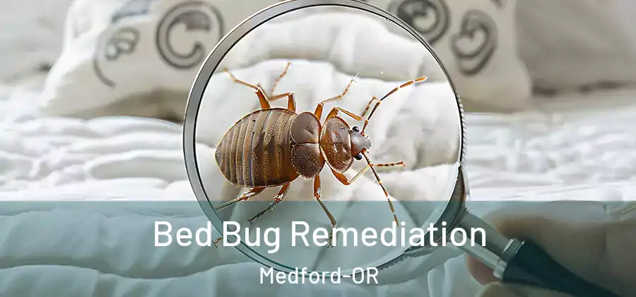 Bed Bug Remediation Medford-OR