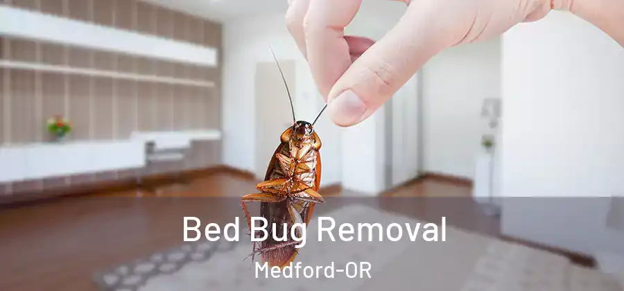 Bed Bug Removal Medford-OR