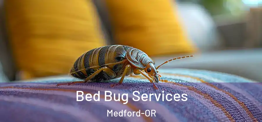  Bed Bug Services Medford-OR