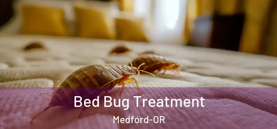 Bed Bug Treatment Medford-OR