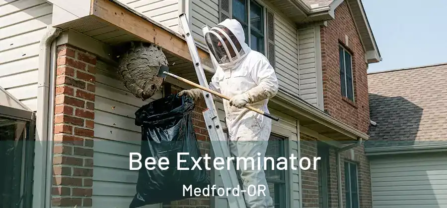 Bee Exterminator Medford-OR