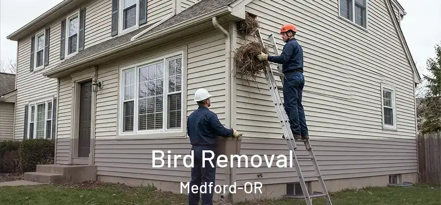 Bird Removal Medford-OR