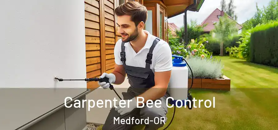 Carpenter Bee Control Medford-OR