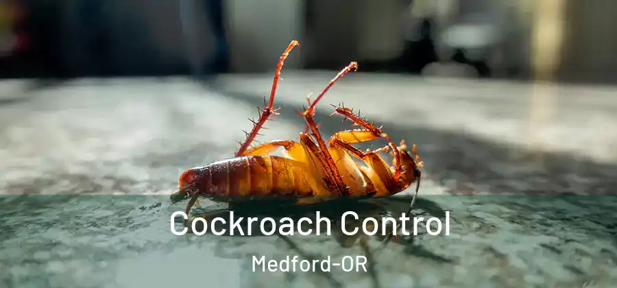  Cockroach Control Medford-OR
