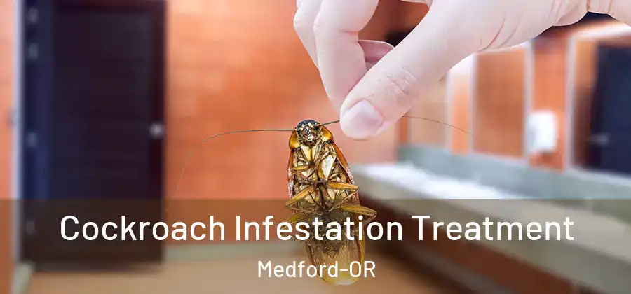 Cockroach Infestation Treatment Medford-OR