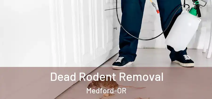 Dead Rodent Removal Medford-OR