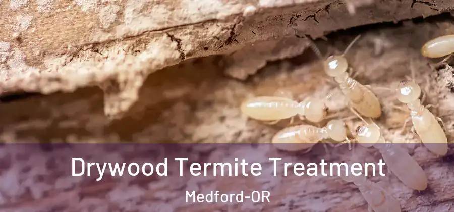 Drywood Termite Treatment Medford-OR