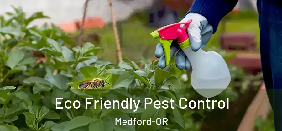 Eco Friendly Pest Control Medford-OR
