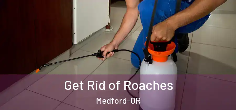 Get Rid of Roaches Medford-OR