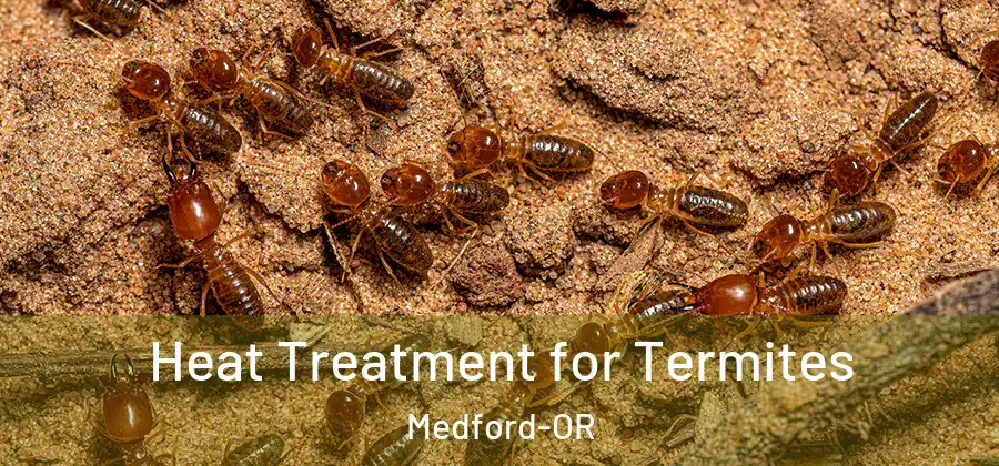 Heat Treatment for Termites Medford-OR