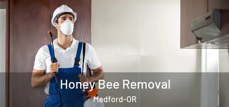 Honey Bee Removal Medford-OR