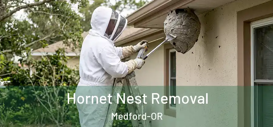  Hornet Nest Removal Medford-OR