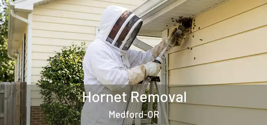 Hornet Removal Medford-OR