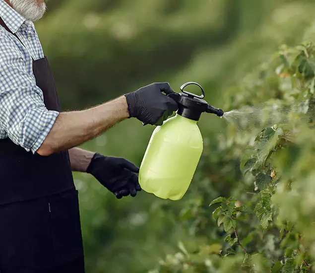 Your Proven Mosquito Treatment Company in Medford, OR
