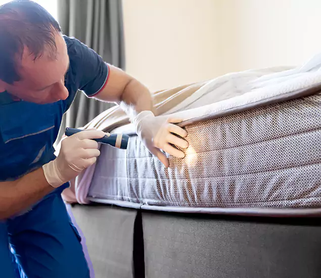 Trusted Bed Bug Cost Experts in Medford, OR