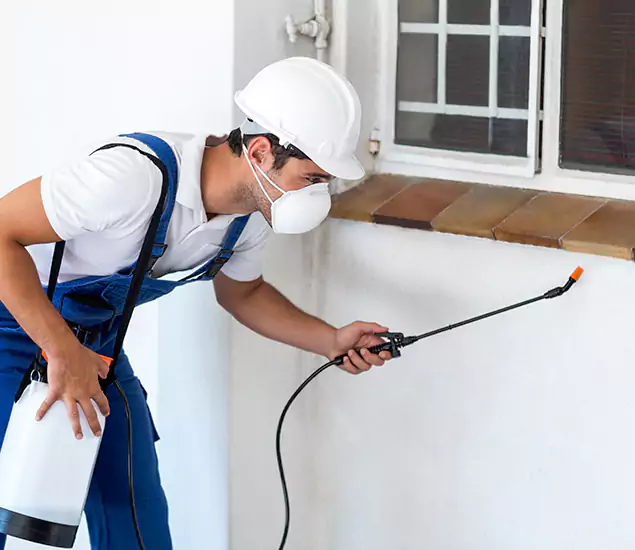 Your Professional Cockroach Exterminator in Medford, OR