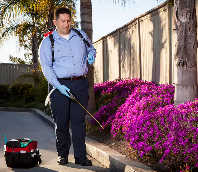 About Our Eco Safe Pest Control Experts in Medford, OR