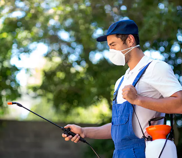 Your Trusted Flea and Tick Control in Medford, OR