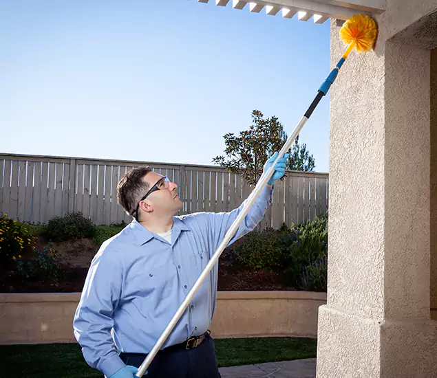Trusted Experts in Medford OR for Formosan Termite Treatment and Black Termite Control