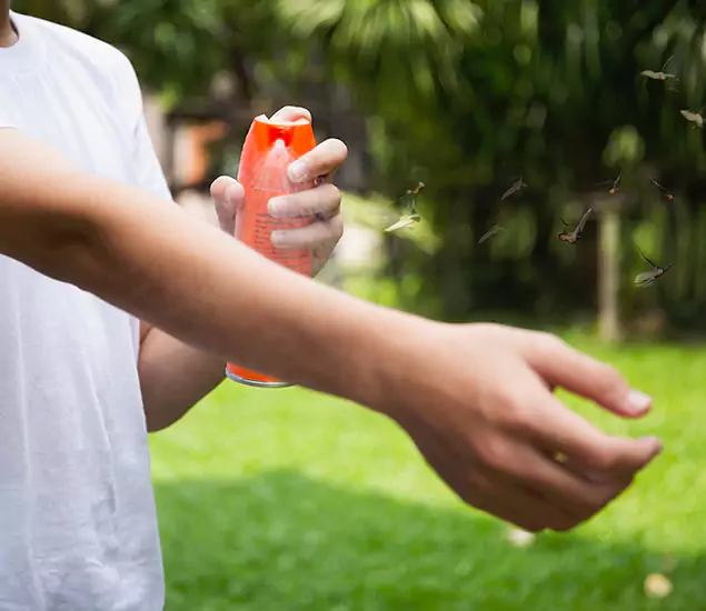 Your Best Indoor Bug Killer Team in Medford, OR
