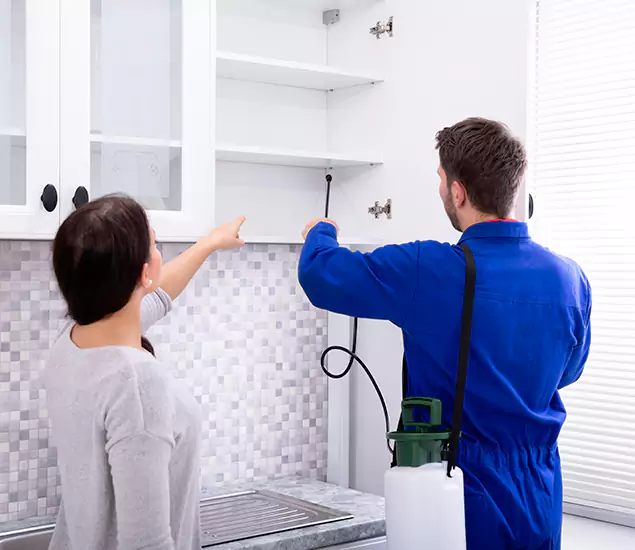 In Medford, OR Advanced Household Pest Control by Medford Pest Control Pro
