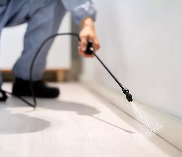 About Our Liquid Termite Treatment Experts in Medford, OR