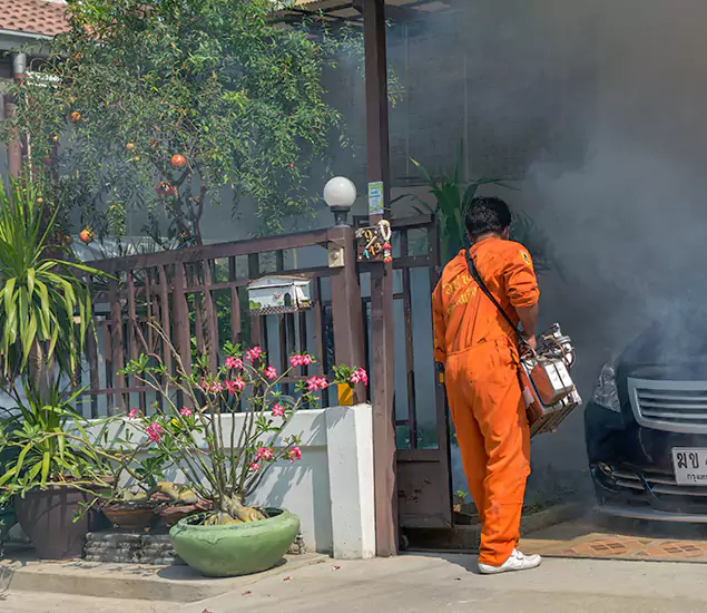 Your Proven Mosquito Fogging Company in Medford, OR