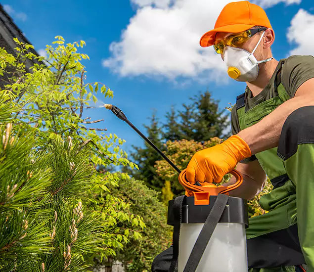 Your Best Bug Spray for Home Team in Medford, OR