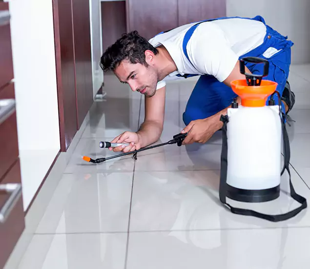 Reliable Professional Mouse Removal: Your Best Mouse Control Company in Medford, OR