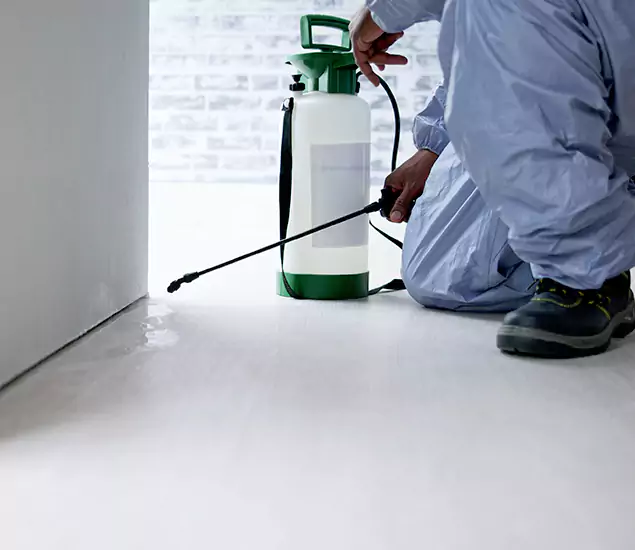 Affordable Pest Control Experts in Medford, OR