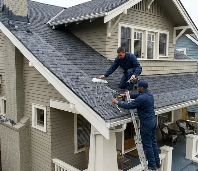 Your Pigeon Control Experts in Medford, OR