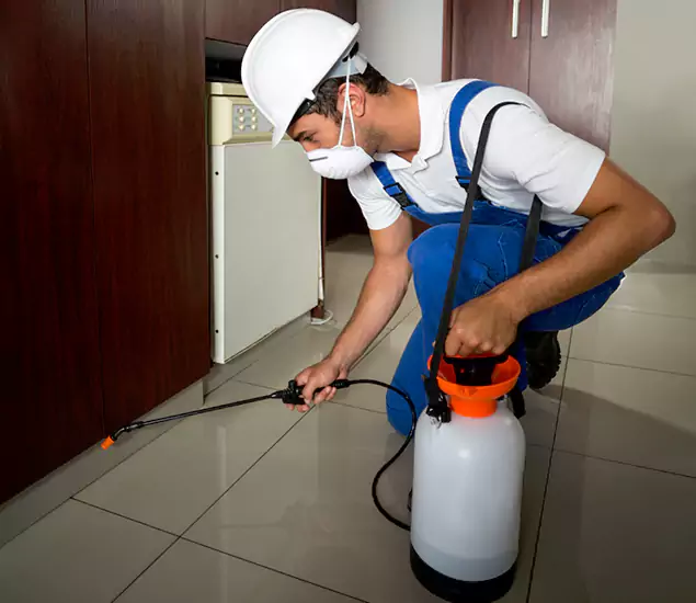 Advanced Termite Pre Treatment Experts in Medford, OR