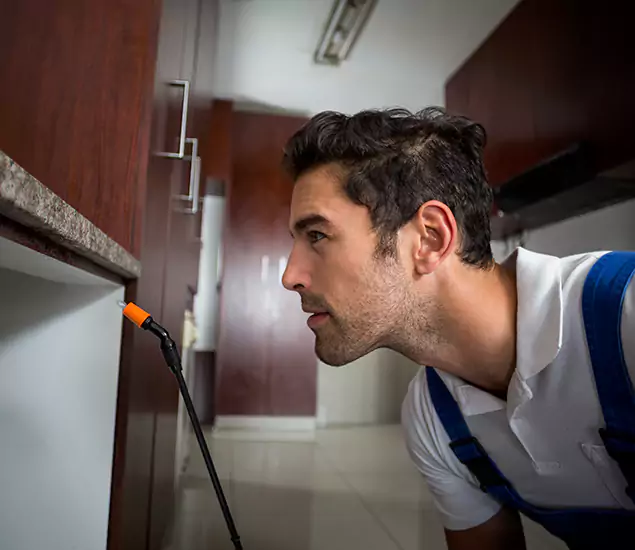 Expert Rodent in Attic Removal: Your Proven Pest Specialists in Medford, OR