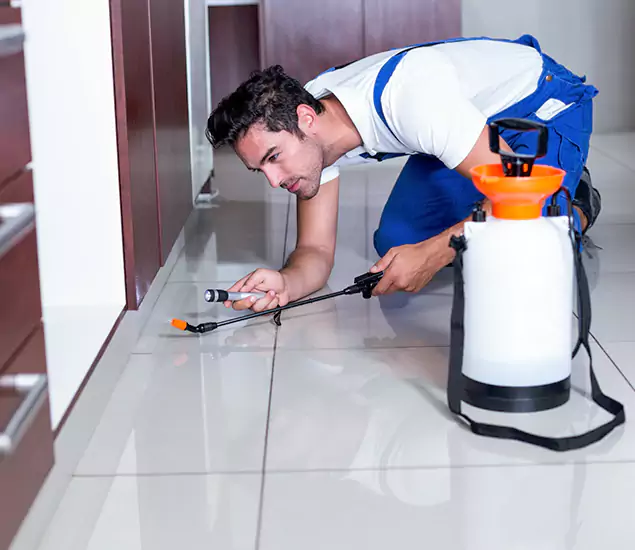 Advanced Slab Termite Treatment Experts You Can Trust&nbsp;in Medford, OR